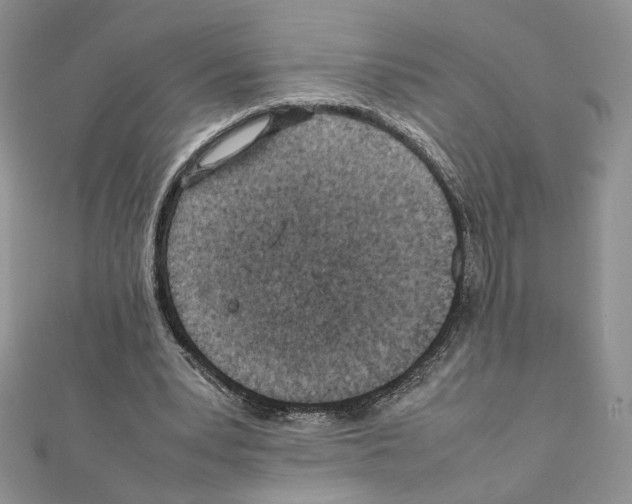 X0000111350391200908211239
