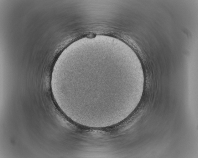 X0000111350393200908211239