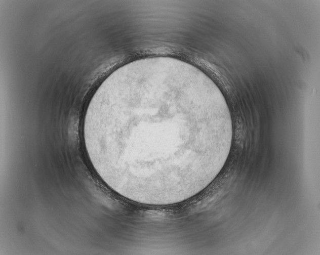 X0000111350394200908211239