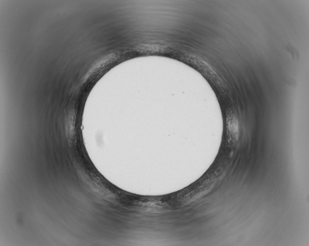 X0000111350396200908211239