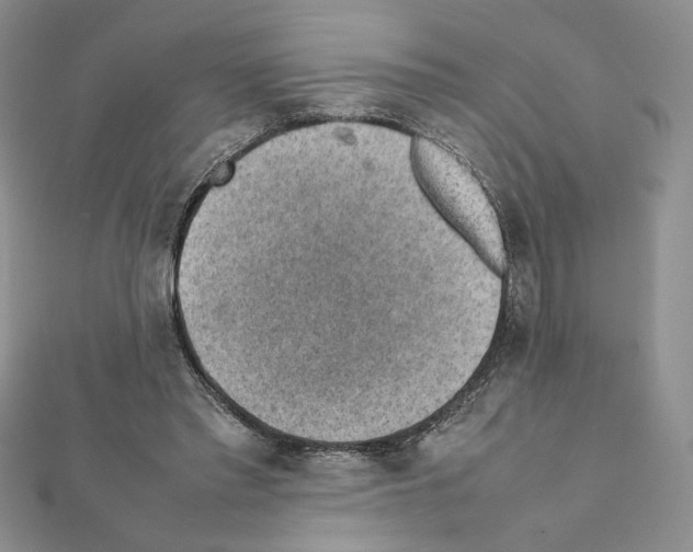 X0000111350397200908211239
