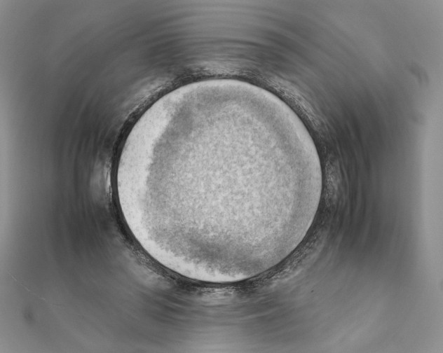 X0000111350398200908211239
