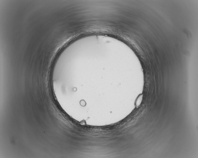 X0000111350399200908211239