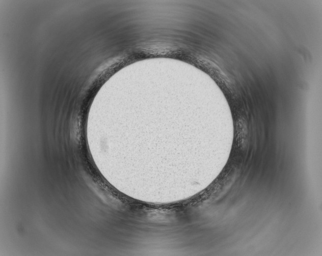 X0000111350400200908211239