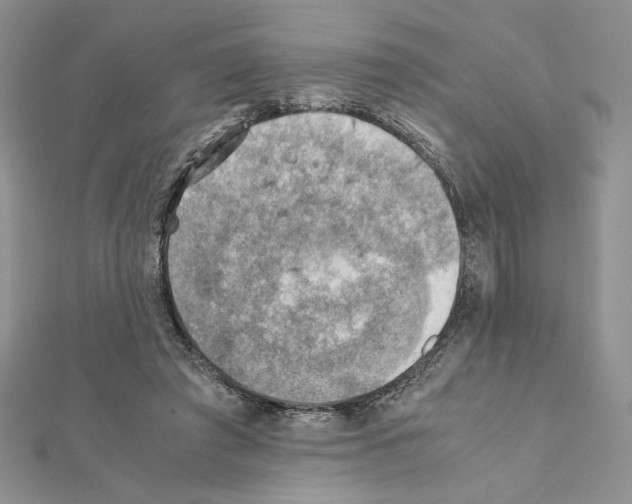 X0000111350401200908211239