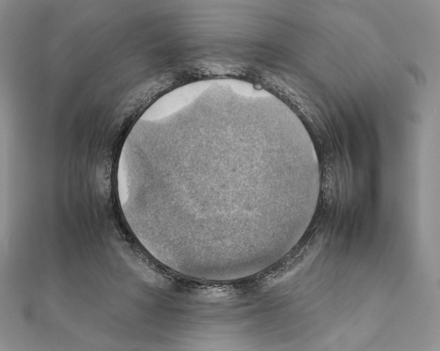 X0000111350402200908211239