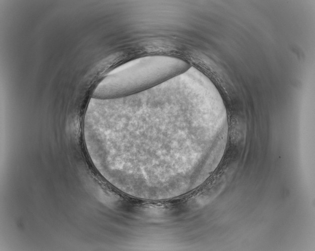 X0000111350405200908211239