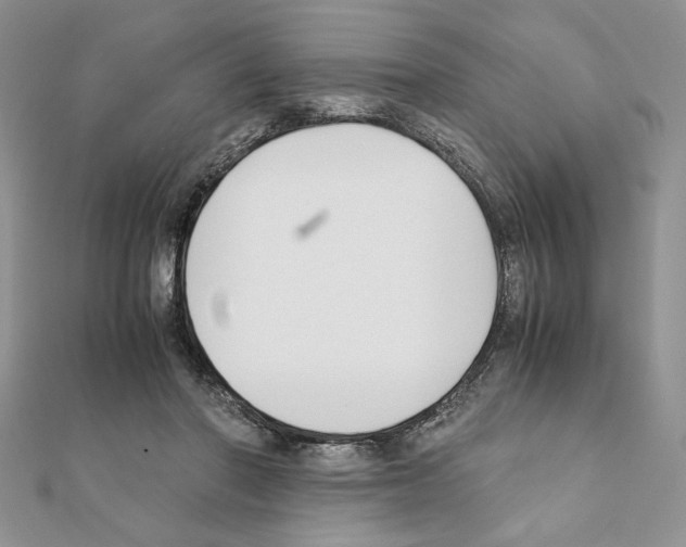 X0000111350406200908211239