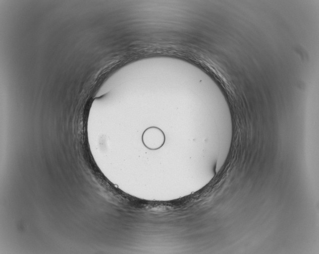 X0000111350407200908211239