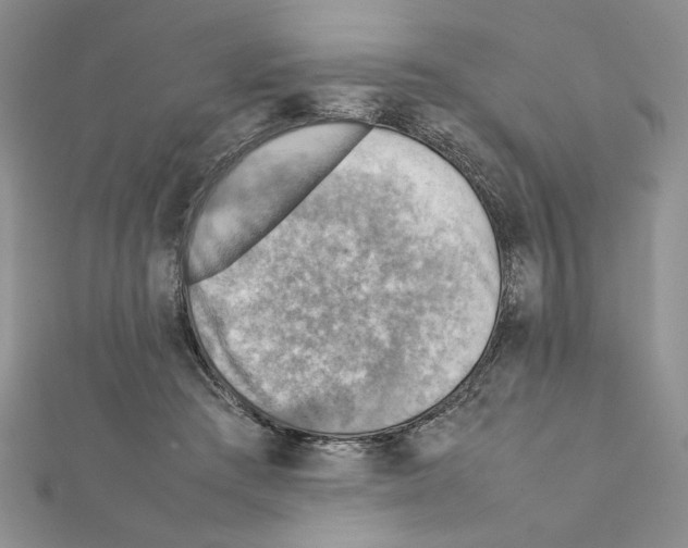 X0000111350409200908211239