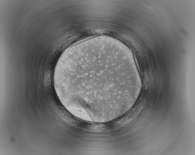 X0000111350410200908211238