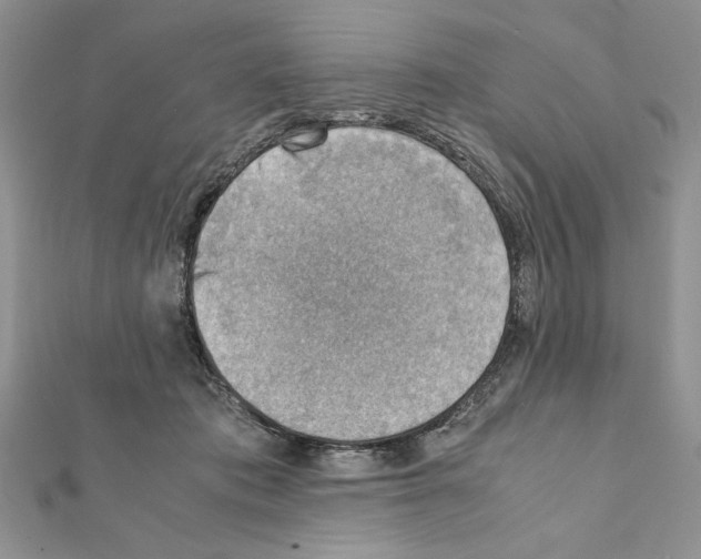 X0000111350413200908211238