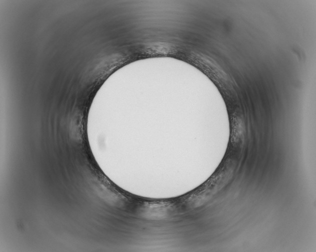 X0000111350414200908211238