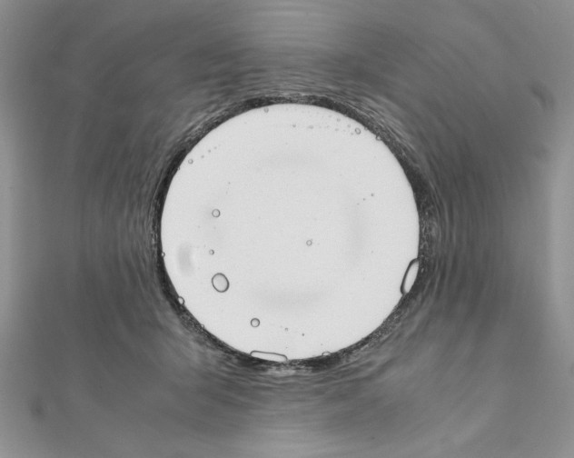 X0000111350415200908211238