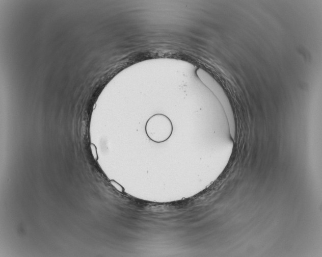 X0000111350417200908211238