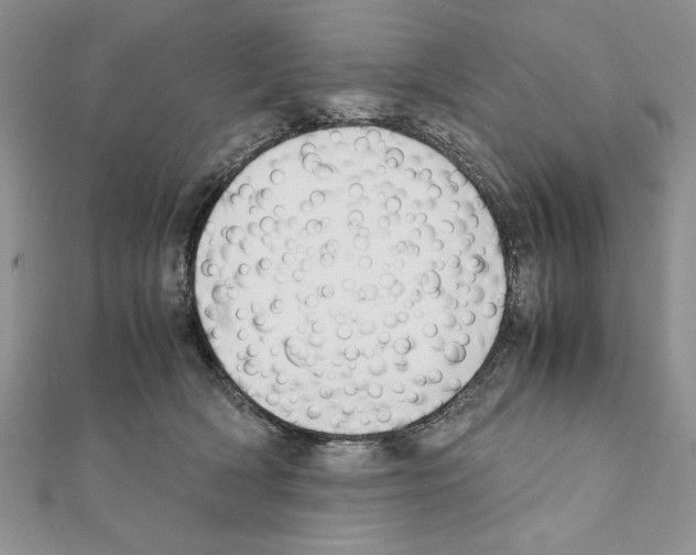 X0000111350418200908211238