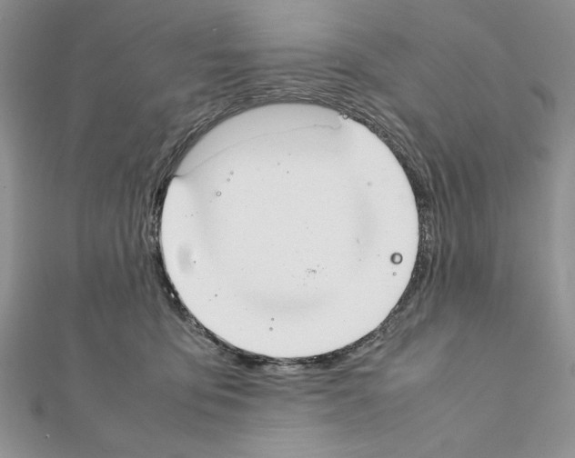 X0000111350419200908211238