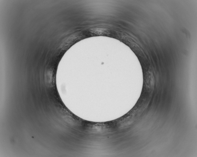 X0000111350420200908211238