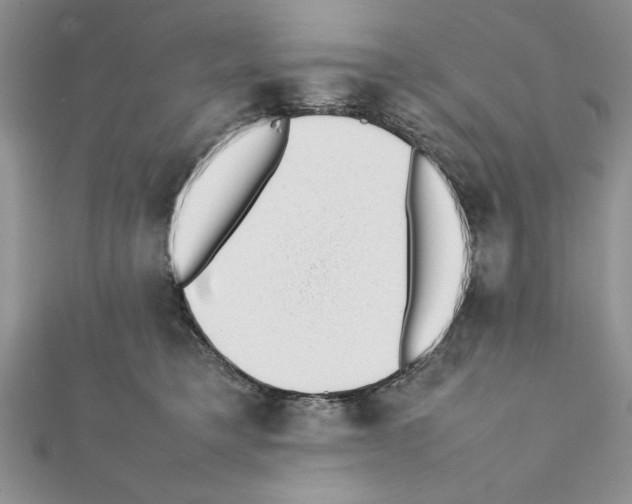 X0000111350421200908211238
