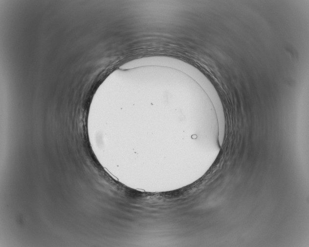X0000111350423200908211238