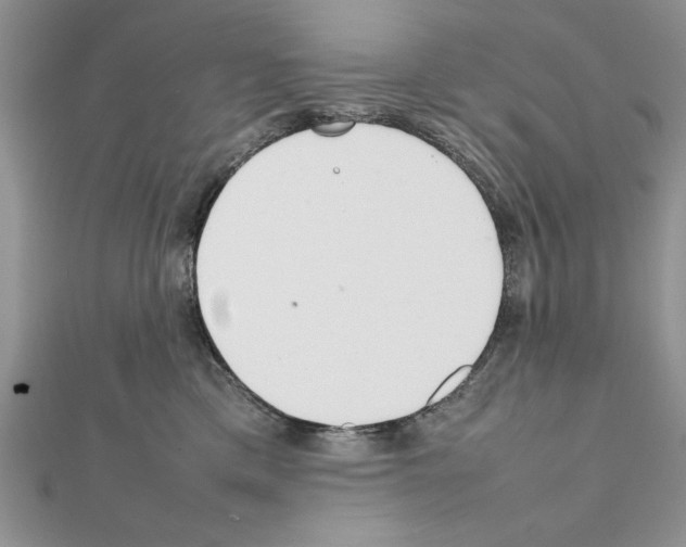 X0000111350425200908211238