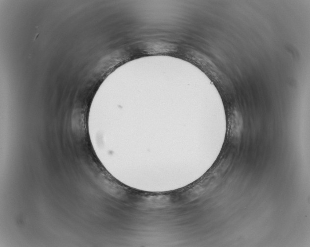X0000111350426200908211238