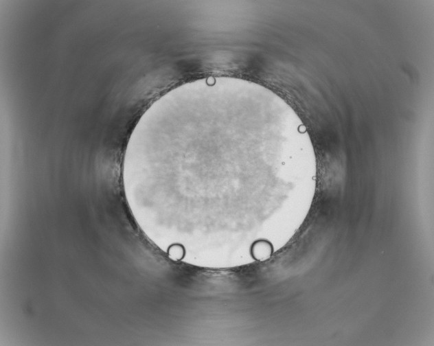 X0000111350427200908211238