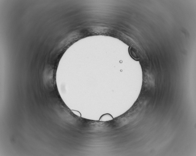 X0000111350428200908211238