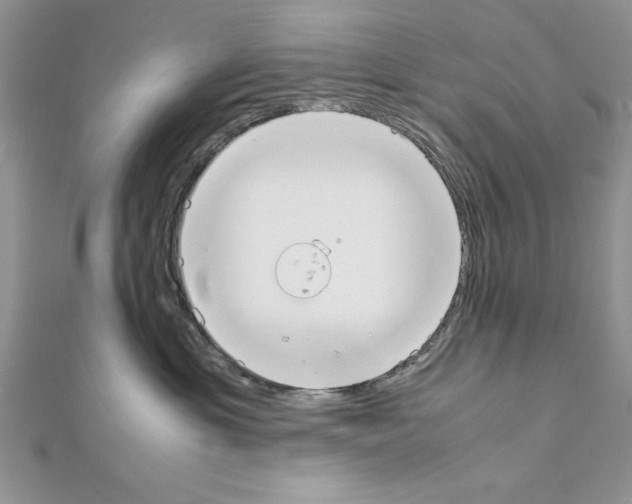 X0000111350429200908211238