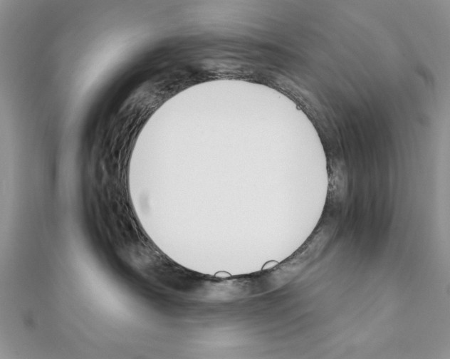 X0000111350430200908211238