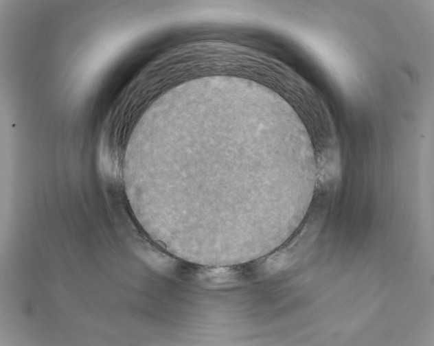 X0000111350431200908211238