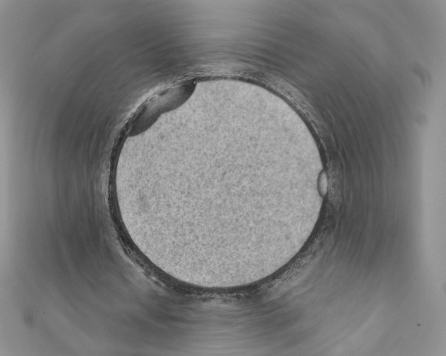 X0000111350434200908211238
