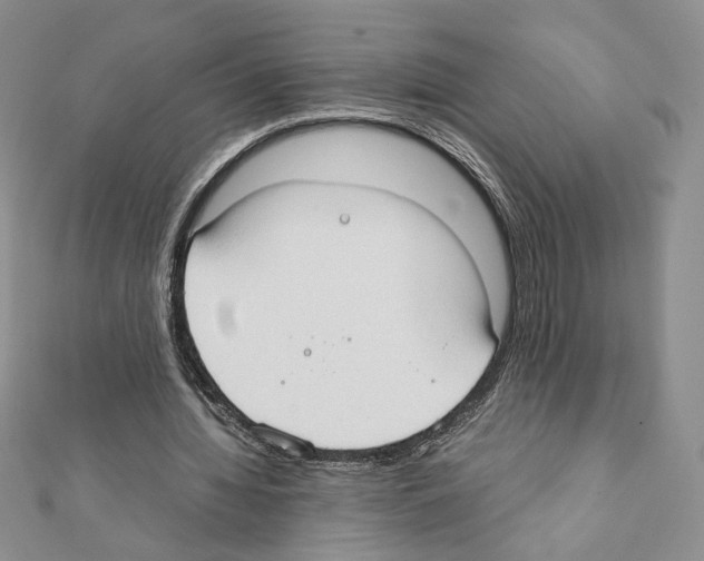 X0000111350436200908211238