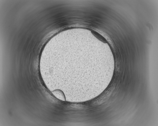 X0000111350437200908211238