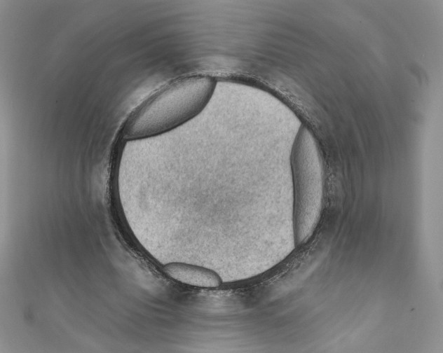 X0000111350440200908211238