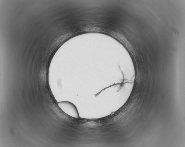 X0000111350441200908211238