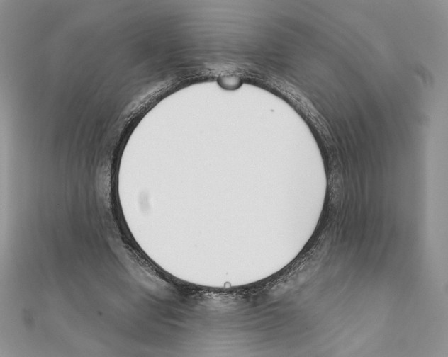 X0000111350442200908211238