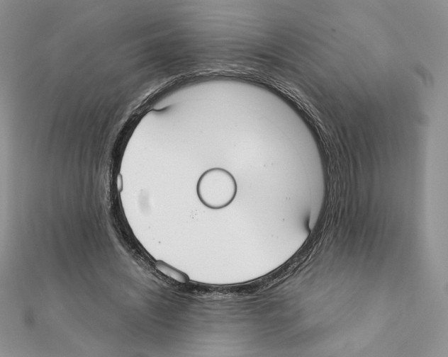X0000111350444200908211238