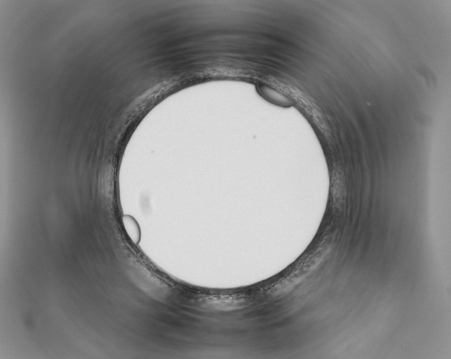 X0000111350445200908211238