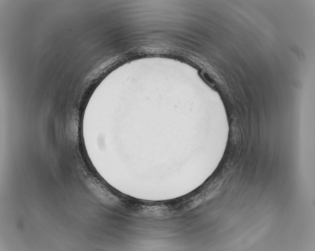X0000111350446200908211238