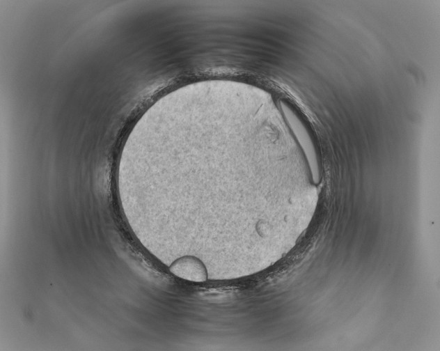X0000111350447200908211238