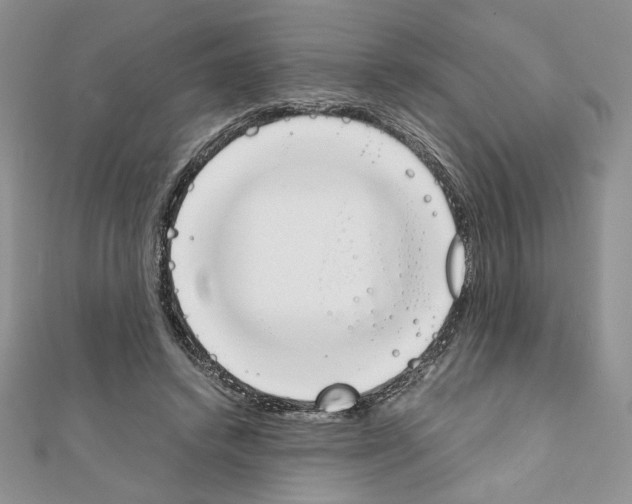 X0000111350448200908211238
