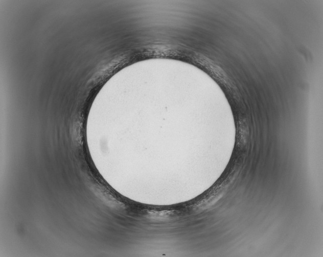 X0000111350450200908211238