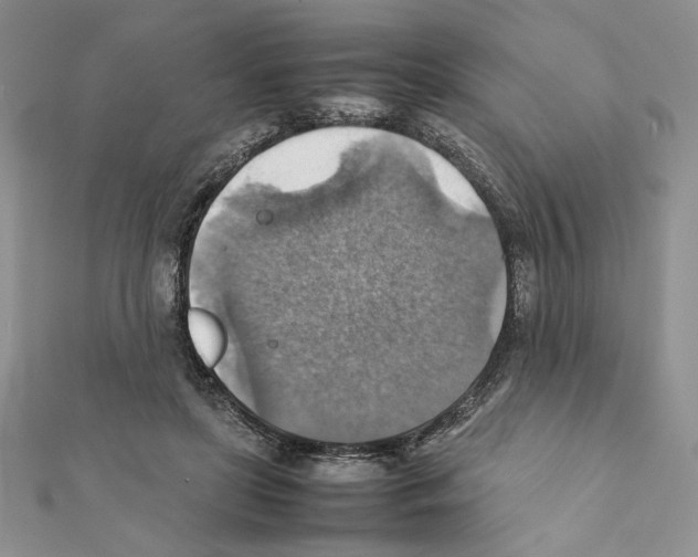 X0000111350451200908211238