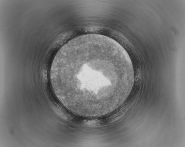 X0000111350452200908211238