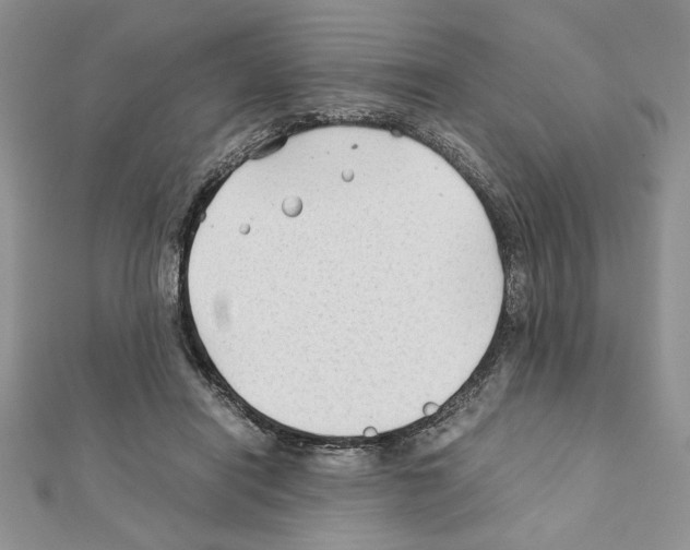 X0000111350454200908211238