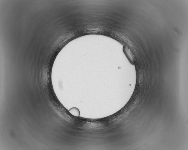 X0000111350455200908211238