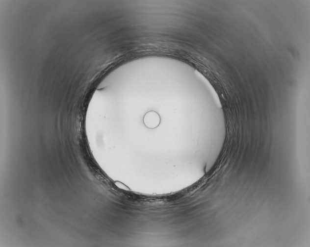 X0000111350456200908211238