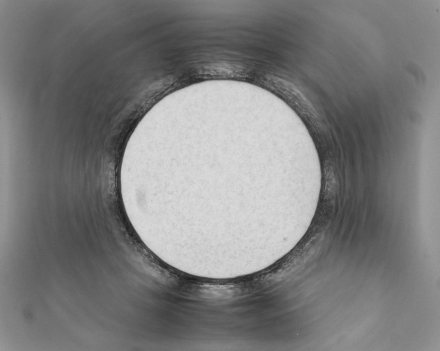 X0000111350457200908211238