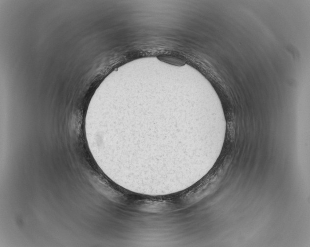 X0000111350458200908211238
